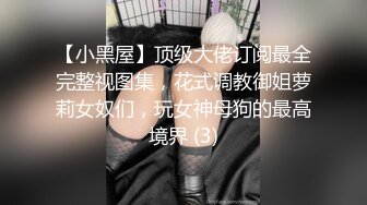 【小黑屋】顶级大佬订阅最全完整视图集，花式调教御姐萝莉女奴们，玩女神母狗的最高境界 (3)