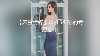 【麻豆传媒】tz-154 你的专属女仆