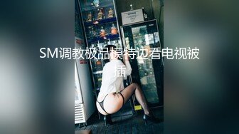 SM调教极品模特边看电视被插