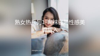 熟女热系列1-网袜骚熟性感美臀后入