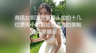 商场女厕固定摄像头偷拍十几位漂亮小姐姐嘘嘘漂亮的美鲍鱼完美展示 (2)