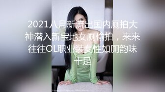 2021八月新流出国内厕拍大神潜入新宝地女厕偷拍，来来往往OL职业装女性如厕韵味十足