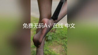 免费无码A√ 在线 中文