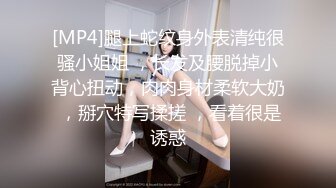 [MP4]腿上蛇纹身外表清纯很骚小姐姐 ，长发及腰脱掉小背心扭动，肉肉身材柔软大奶 ，掰穴特写揉搓 ，看着很是诱惑