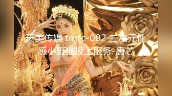 天美传媒 tmtc-002 二次元性感小野猫极上服务-唐芯