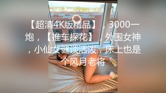 【超清4K版精品】，3000一炮，【推车探花】，外围女神，小仙女健谈活泼，床上也是个风月老将