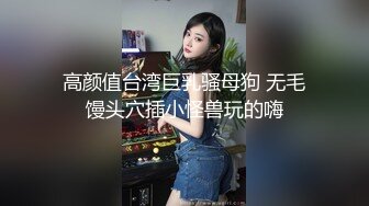 高颜值台湾巨乳骚母狗 无毛馒头穴插小怪兽玩的嗨