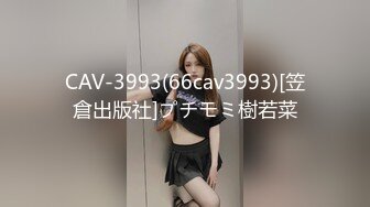 CAV-3993(66cav3993)[笠倉出版社]プチモミ樹若菜