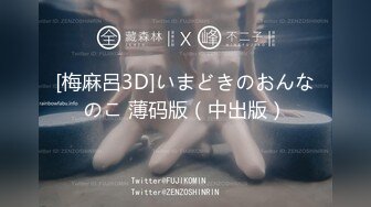 [梅麻呂3D]いまどきのおんなのこ 薄码版（中出版）