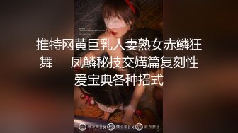 推特网黄巨乳人妻熟女赤鳞狂舞❤️凤鳞秘技交媾篇复刻性爱宝典各种招式