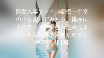 熟女人妻のトイレ盗撮～个室の中を覗いてみたら、排尿に！イチャイチャ连れ込みに！…いろんな事が起きてたっ！～60人4时间