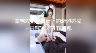 豪宅双女仆餐桌上的激烈碰撞 - 夏暮光 x Mini肉包