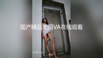 国产精品无码VA在线观看