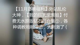 【11月重磅福利】外站乱伦大神，【我的巨乳亲表姐】付费无水原版钻石贴合集①，各种调教啪啪淫语，太刺激了 (1)