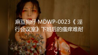 麻豆狗仔 MDWP-0023《 淫行会议室》下班后的瘙痒难耐