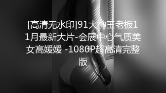 [高清无水印]91大神王老板11月最新大片-会展中心气质美女高媛媛 -1080P超高清完整版