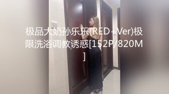 极品大奶孙乐乐(RED+Ver)极限洗浴调教诱惑[152P/820M]